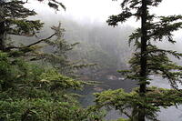 IMG 0538 small