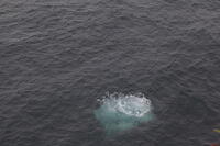 IMG 0555 small