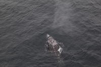 IMG 0557 small