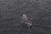 IMG 0558 small