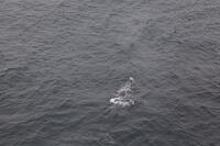 IMG 0560 small