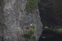 IMG 0568 small