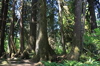 IMG 0588 small