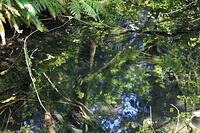 IMG 0590 small