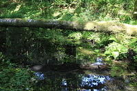 IMG 0592 small