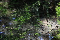 IMG 0593 small