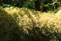 IMG 0597 small