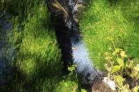 IMG 0598 small