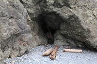 IMG 0627 small