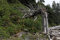 IMG 0631 small