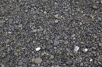 IMG 0638 small