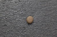 IMG 0653 small