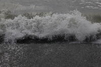 IMG 0655 small