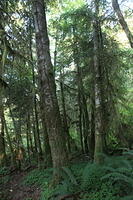 IMG 0671 small