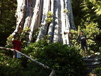 IMG 1282 small