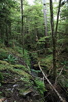 IMG 2710 small
