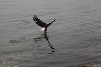 IMG 2722 small