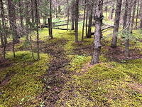 IMG 4039 small