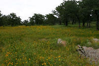 IMG 4040 small
