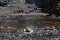 IMG 3679 small
