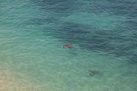 IMG 3794 small