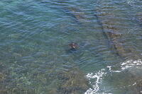 IMG 3798 small