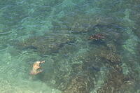 IMG 3803 small