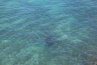 IMG 3805 small