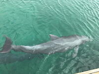 IMG 3568 small