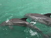 IMG 3570 small