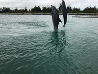 IMG 3586 small