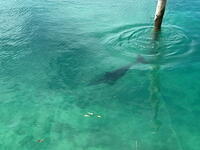 IMG 3620 small
