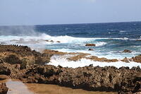 IMG 4586 small