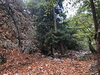 IMG 3328 small